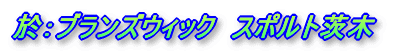 ���F�u�����Y�E�B�b�N�@�X�|���g���
