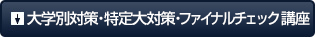 大学別対策・特定大対策・ファイナルチェック講座